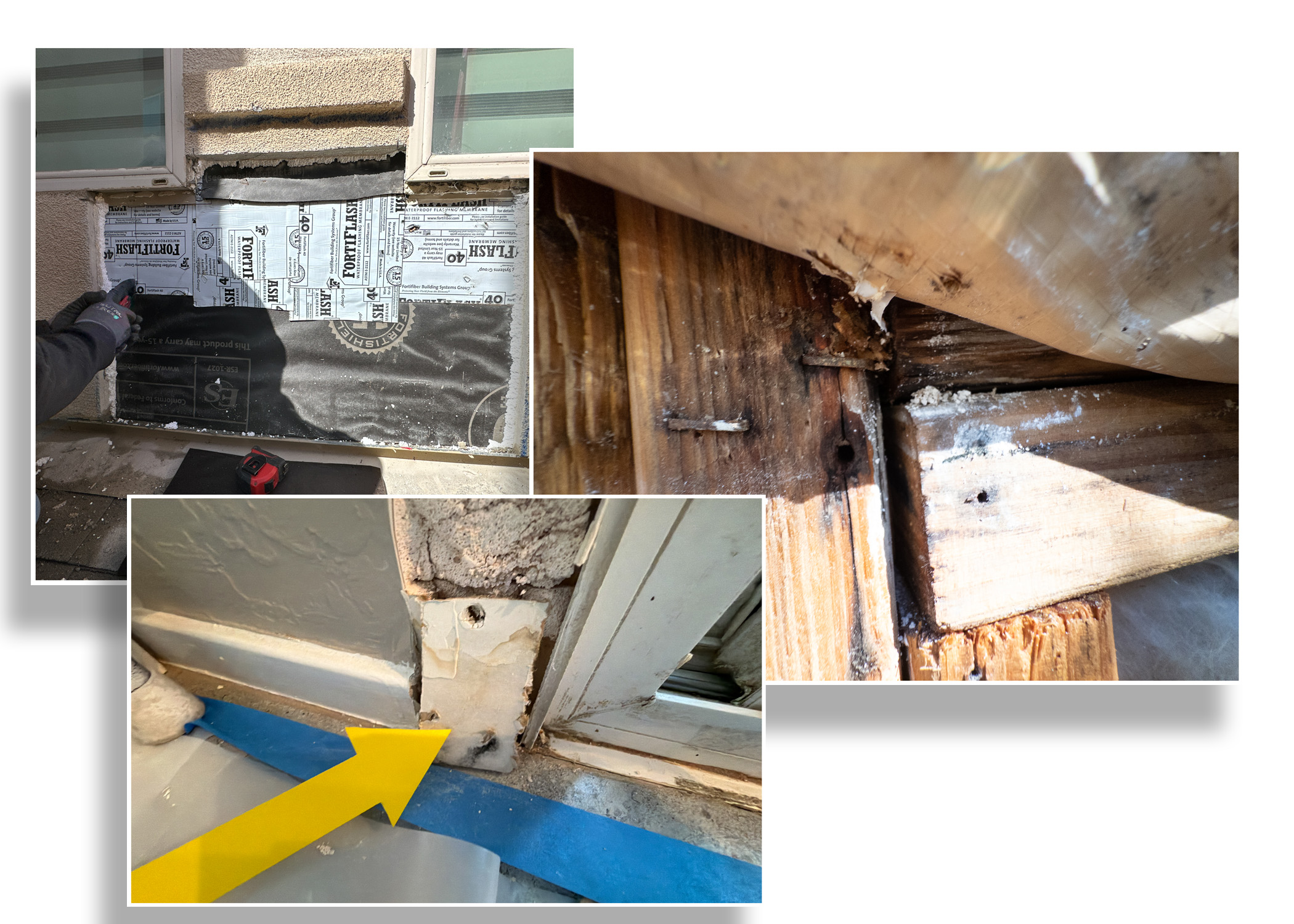 Invasive Building Envelope Investigation